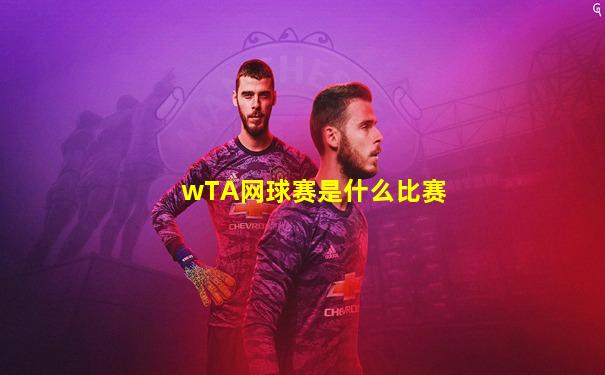 wTA网球赛是什么比赛