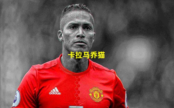 卡拉马乔猫