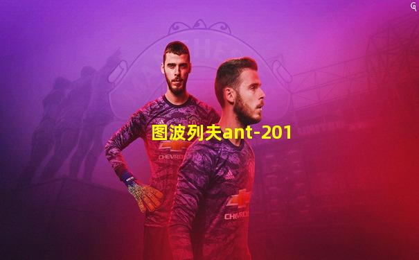图波列夫ant-201
