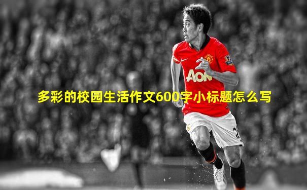 多彩的校园生活作文600字小标题怎么写