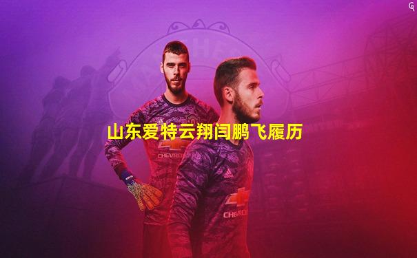 山东爱特云翔闫鹏飞履历