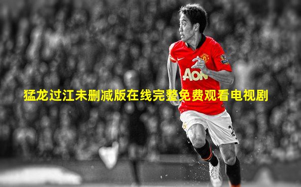 猛龙过江未删减版在线完整免费观看电视剧