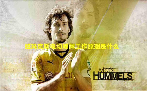纽玛克斯电动蝶阀工作原理是什么