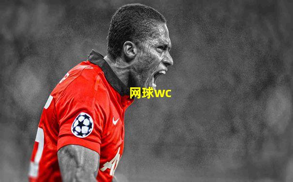 网球wc