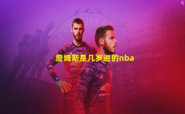 詹姆斯是几岁进的nba